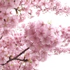 58D02D30-B372-4AE2-8381-C27221F06FB2