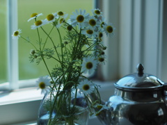herbteaの効果