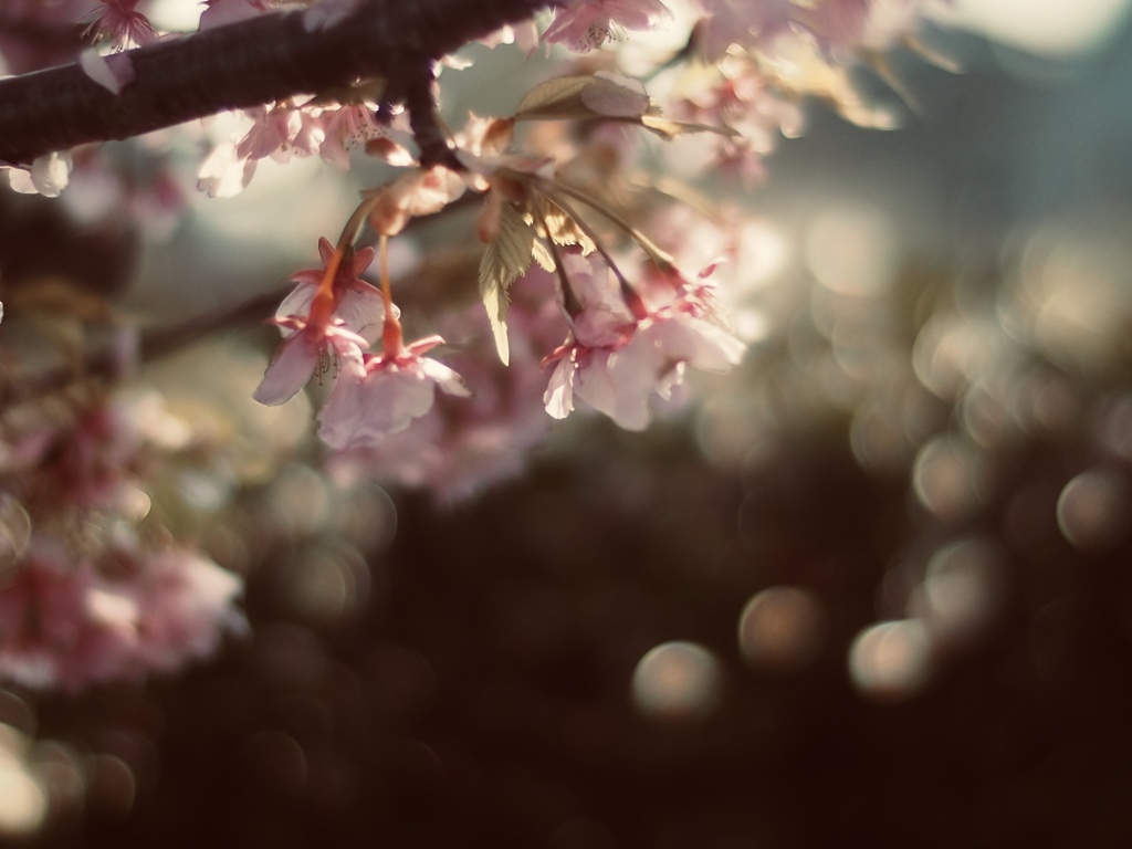 春の待ち合わせ