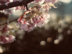 春の待ち合わせ