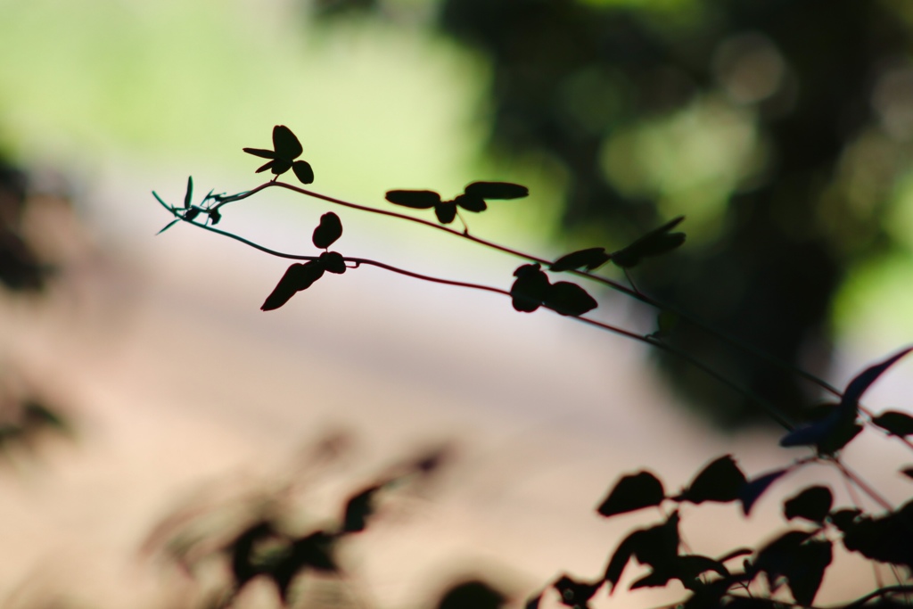 此処で 待ってるね