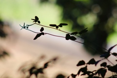 此処で 待ってるね