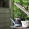梅雨明けが嬉しくて