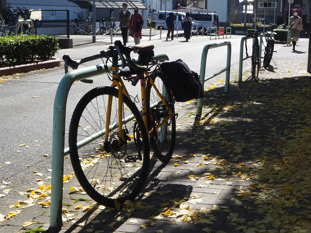 秋の停車位置