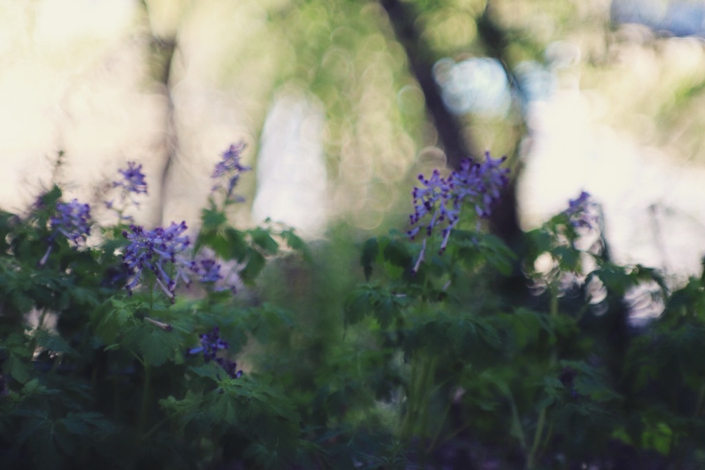 また 逢えますか