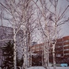 雪の北大 1