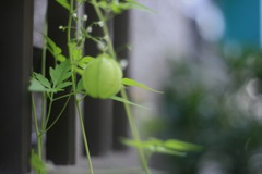 懐古のひととき