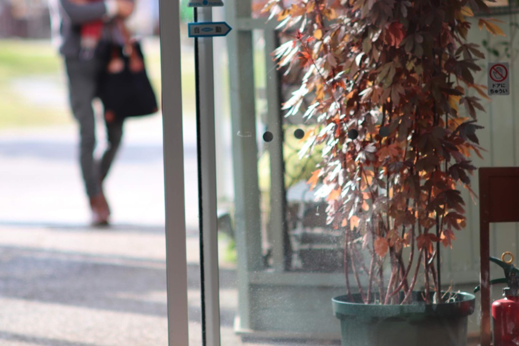 季節ごとの癒し空間