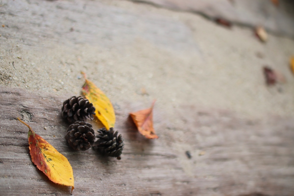 ここに　居るからね