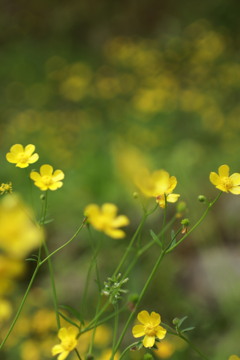 明るい春になりますように！