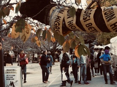 秋色　market