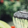 水辺を撮る