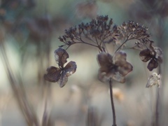 優しさに感謝！