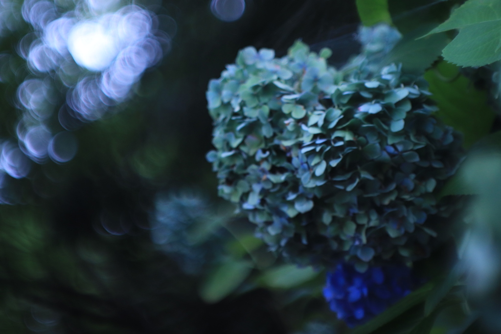 DEC5CD3F-2C8A-4A9F-A6AB-99808598721B