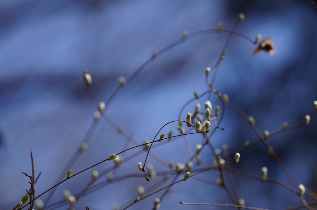 空の色と風の色