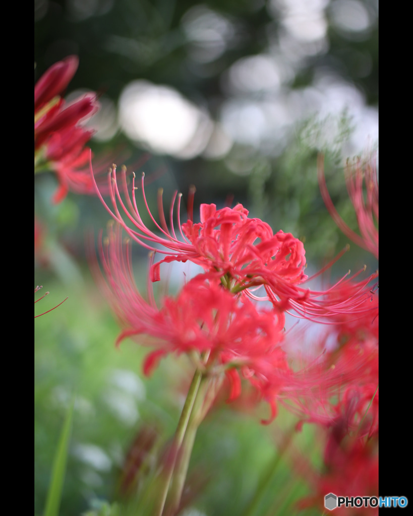 AEBCD3EF-0318-4E7D-9C28-954AD0CEE0D8