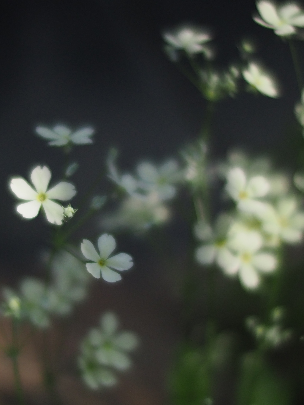 ここに居るから