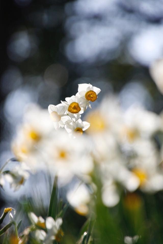 4BCC3877-D16A-46B1-9E5E-A527B9A15052