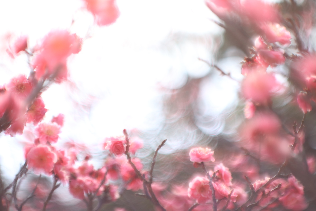 AB3D1399-38E3-41B6-86CC-245D4B165084