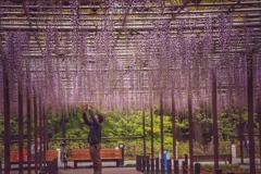 いつの日にか。。。