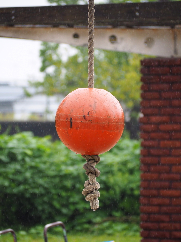 雨と遊具