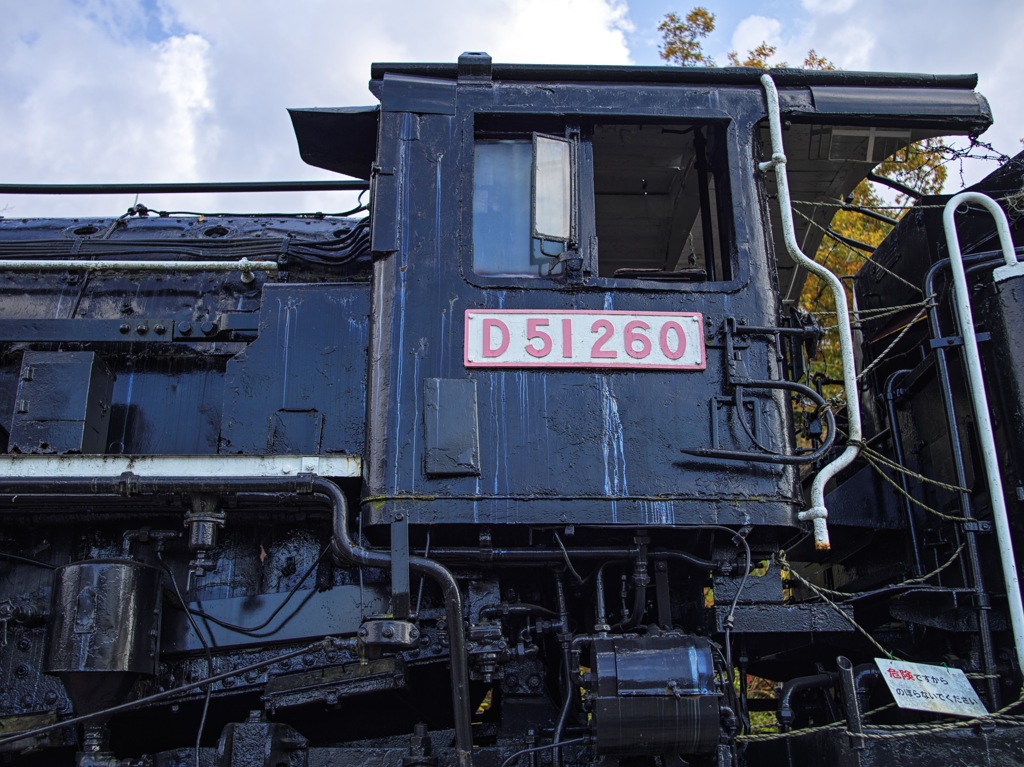 D51260