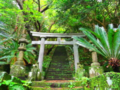 新島での写真2