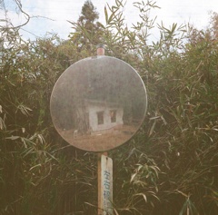 House in the Mirror