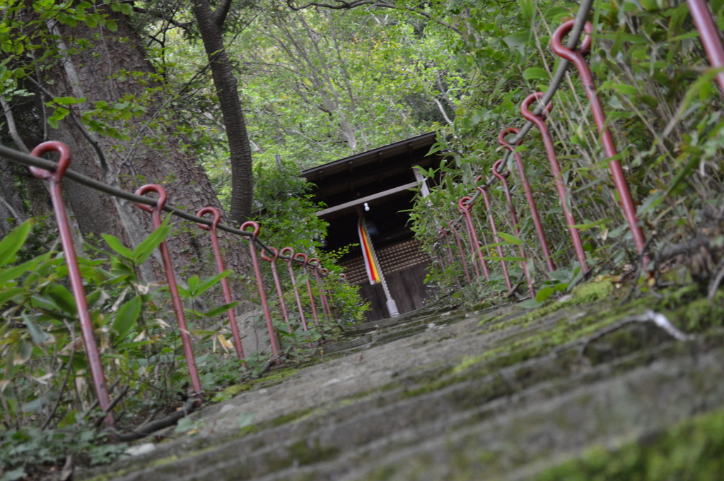 D63D6109-A71D-4686-8FBC-34CB599CB37E