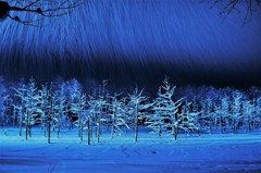 Winter night fantasy