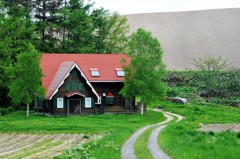 Fairy-tale house