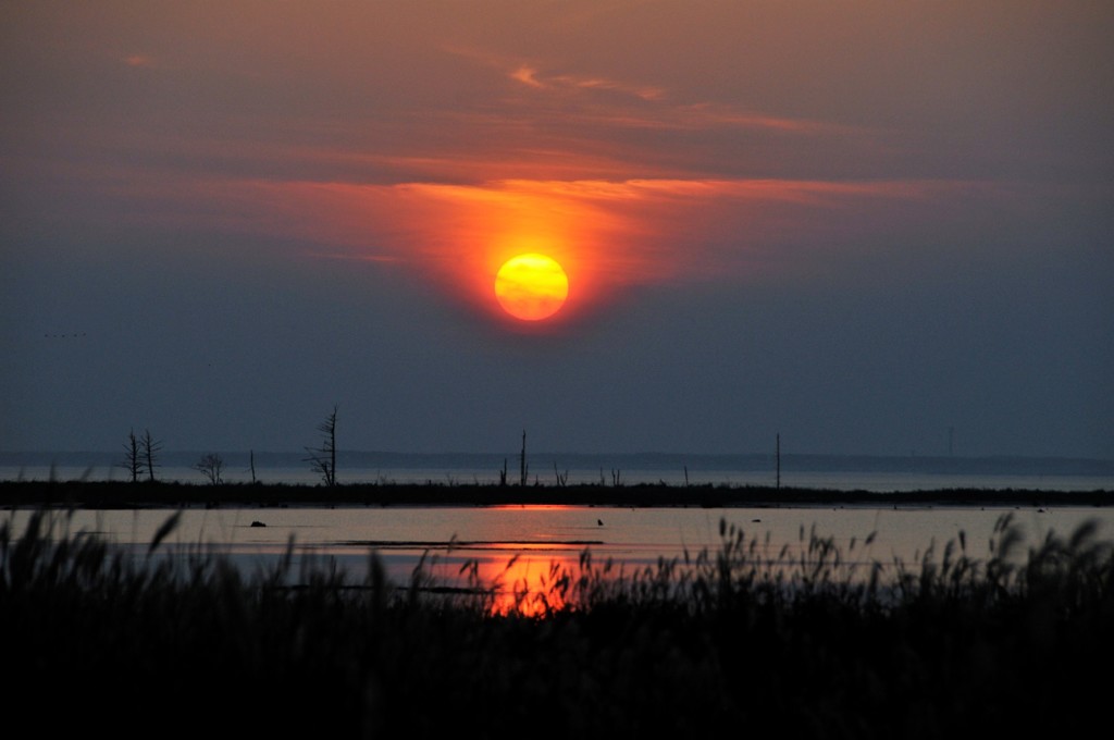 Red sun