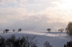 冬景色#2　雪やこんこん～♪