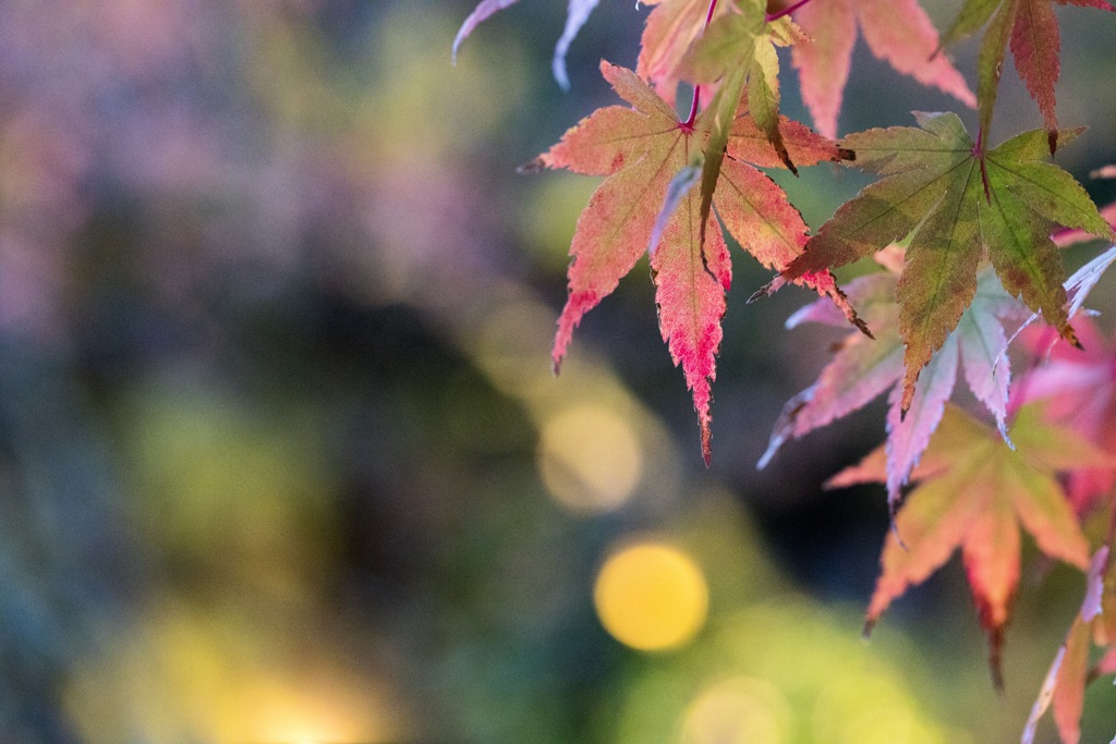 有馬温泉お散歩2