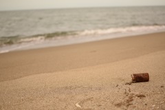 海