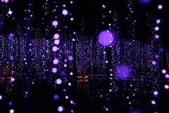 夜のブドウ畑