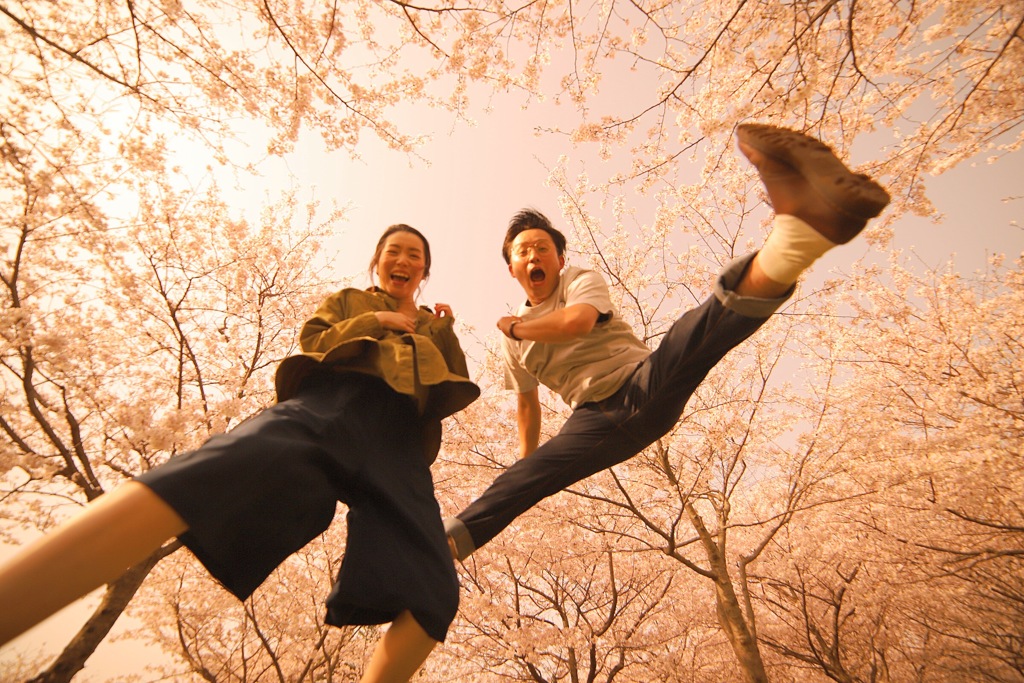 大きな桜の木の下で。