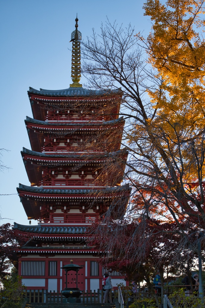 本土寺の秋