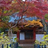 本土寺の秋