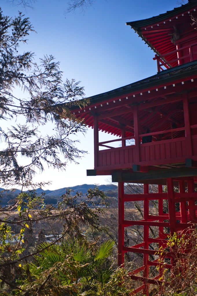 佐野5
