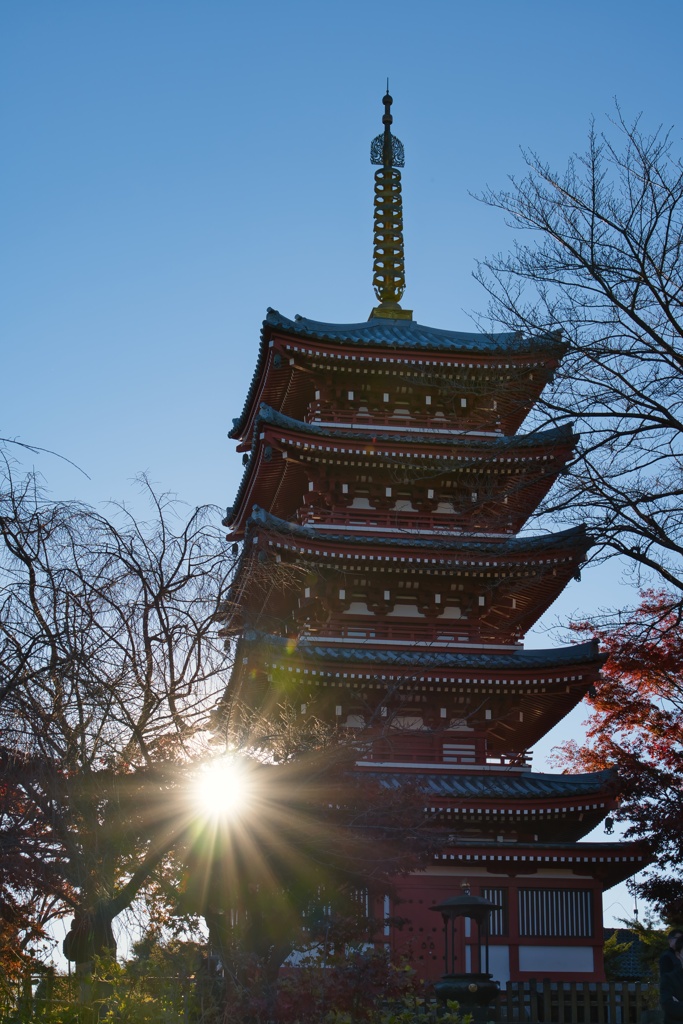 本土寺の秋