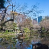 日比谷公園1