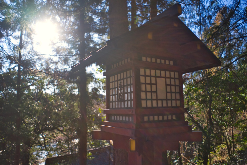 佐野4