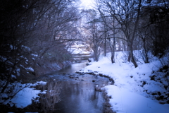 冬散歩④
