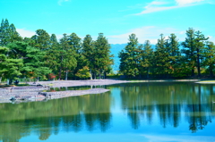 まだ、青々とした、、、