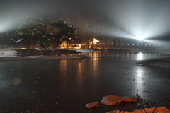 浄土庭園にて②