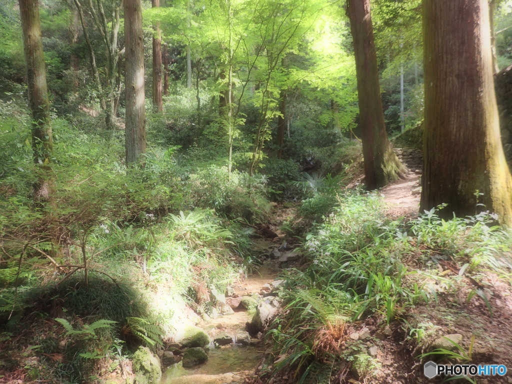 山中