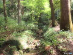 山中