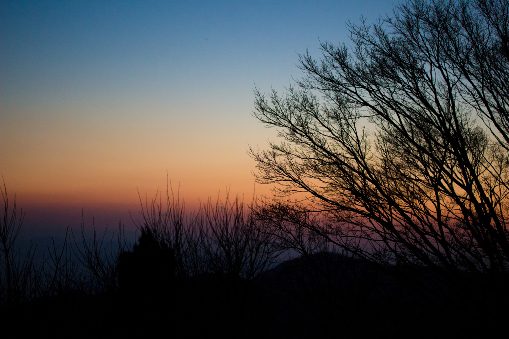 夜景よりも