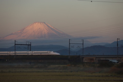 紅富士と新幹線